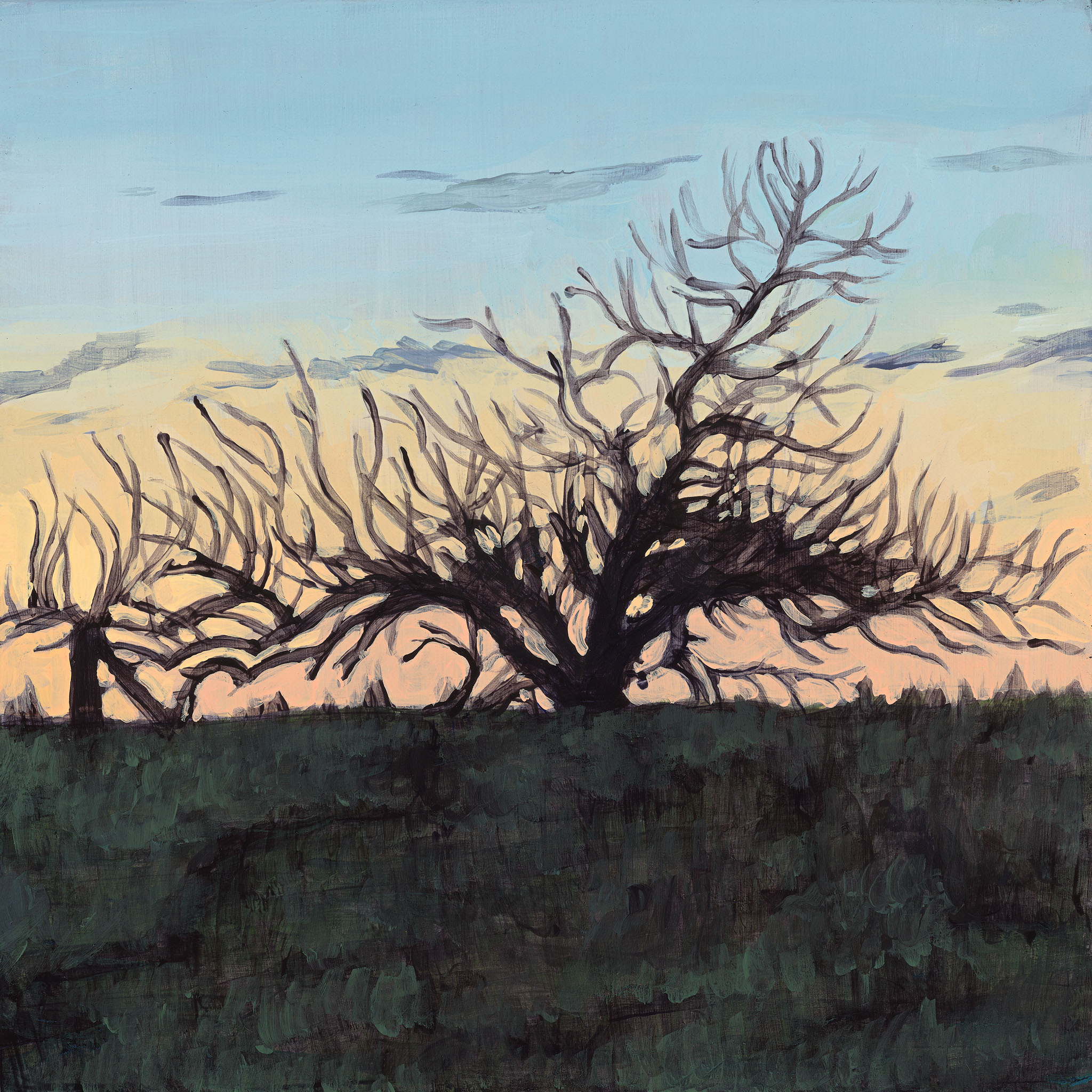 Clare McFarlane, The Old Apricot Tree II, 2024, acrylic on board, 20.3 x 20.3cm