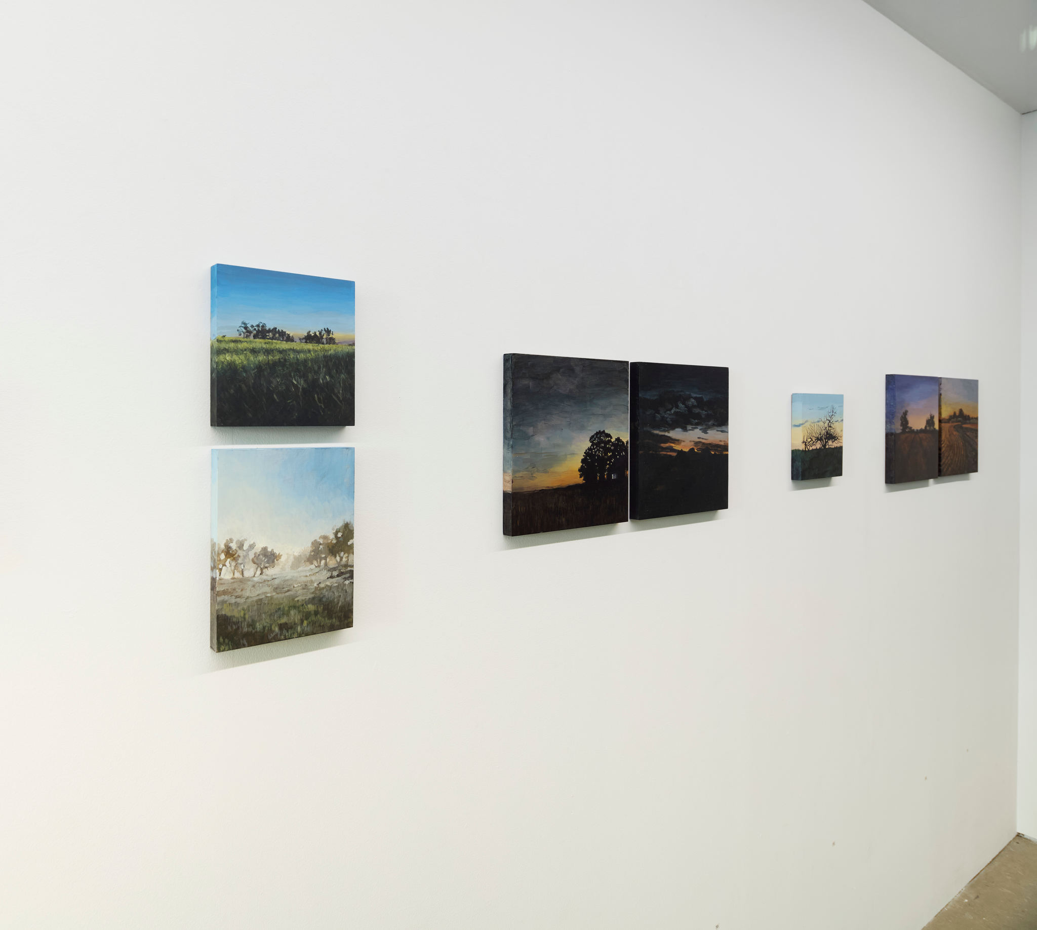 Clare McFarlane, Dark Farm, 2024. Installation view Acorn Photo (1)