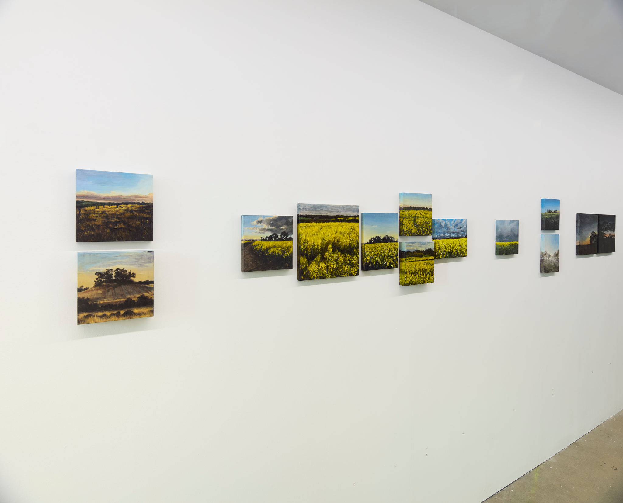 Clare McFarlane, Dark Farm, 2024. Installation view Acorn Photo (5)