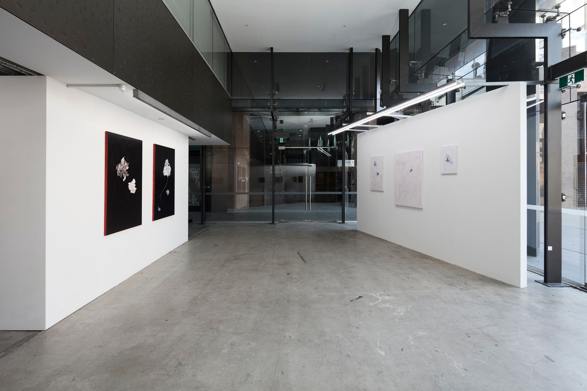 Paul Uhlmann, Calligraphic Skies, 2024. Installation view. Acorn Photo (3)