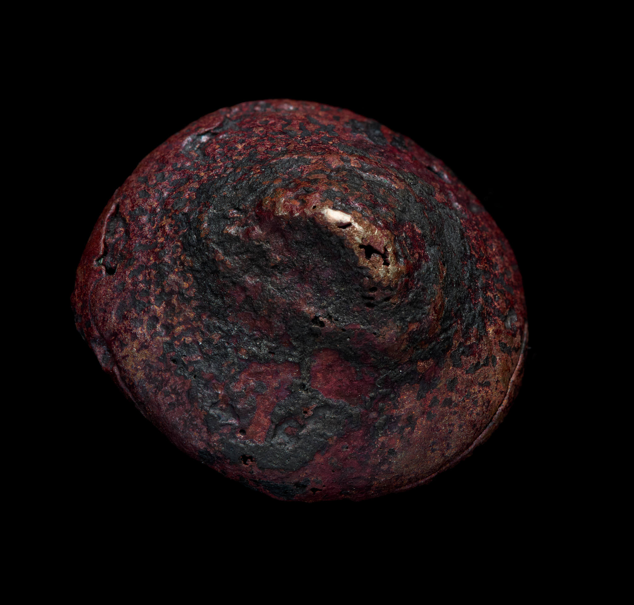 Sarah Elson, 'Pull the earth around me' 12, Gum Nut Cap Pin, 2024, recycled copper 2 x 1.8 x 1.5cm
