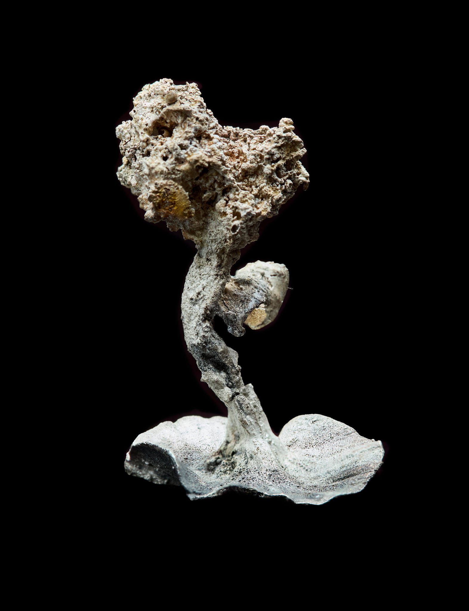 Sarah Elson 'Pull the earth around me' 11, Mushroom Pin, 2024. recycled silver 4.5 x 2.3 x 3cm.jpg