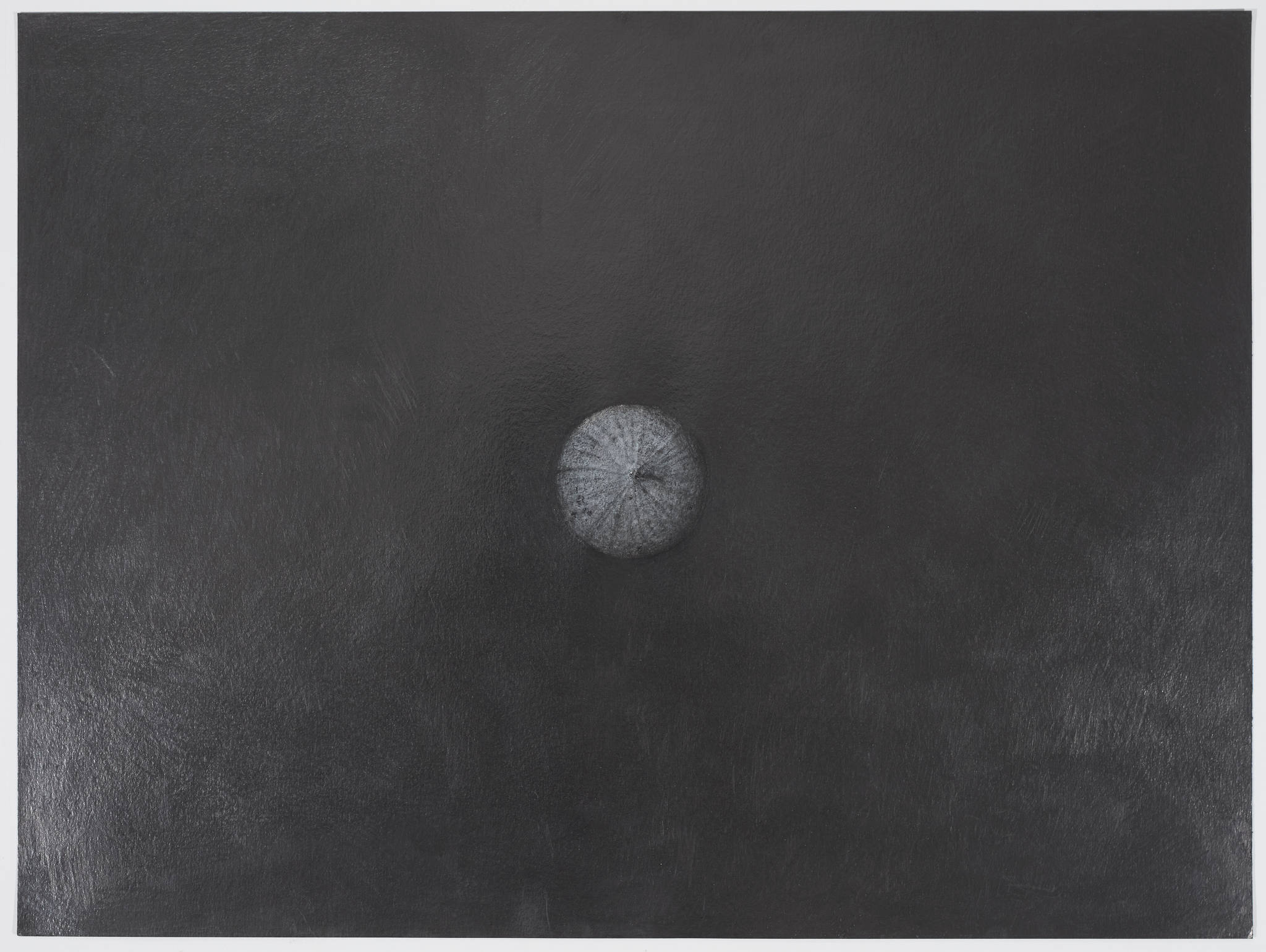 Ric Spencer, Suburban Foraging (Earth series 3), 2024, graphite and mixed media on paper, 50 x 64cm