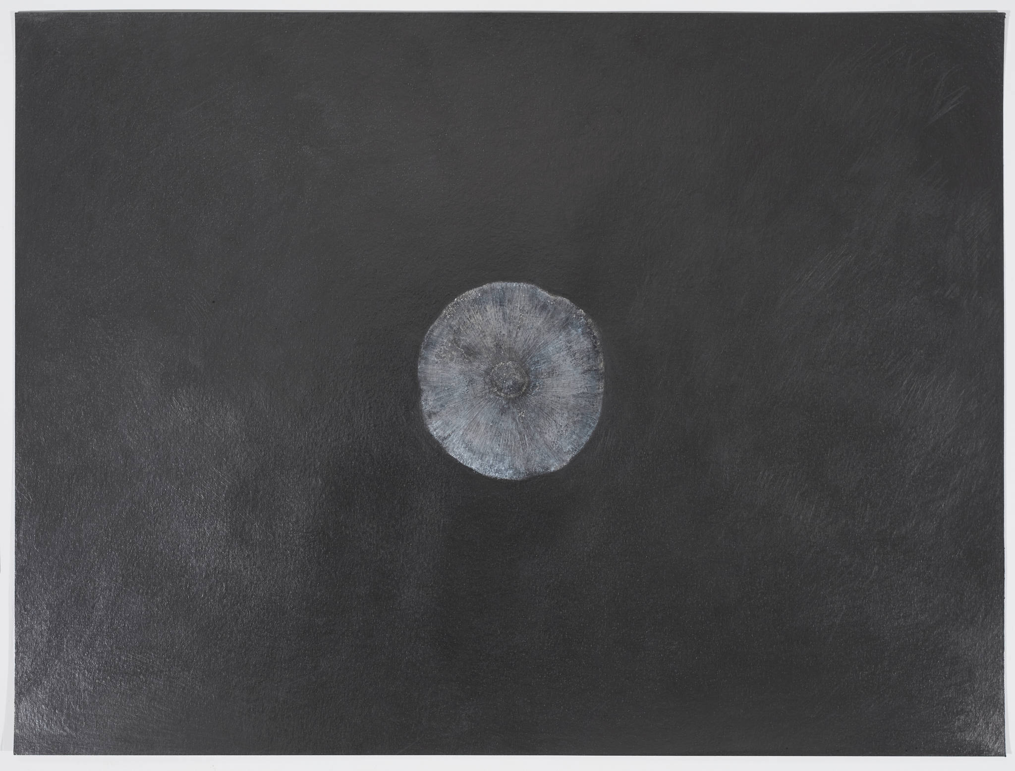 Ric Spencer, Suburban Foraging (Earth series 1), 2024, graphite and mixed media on paper, 50 x 64cm