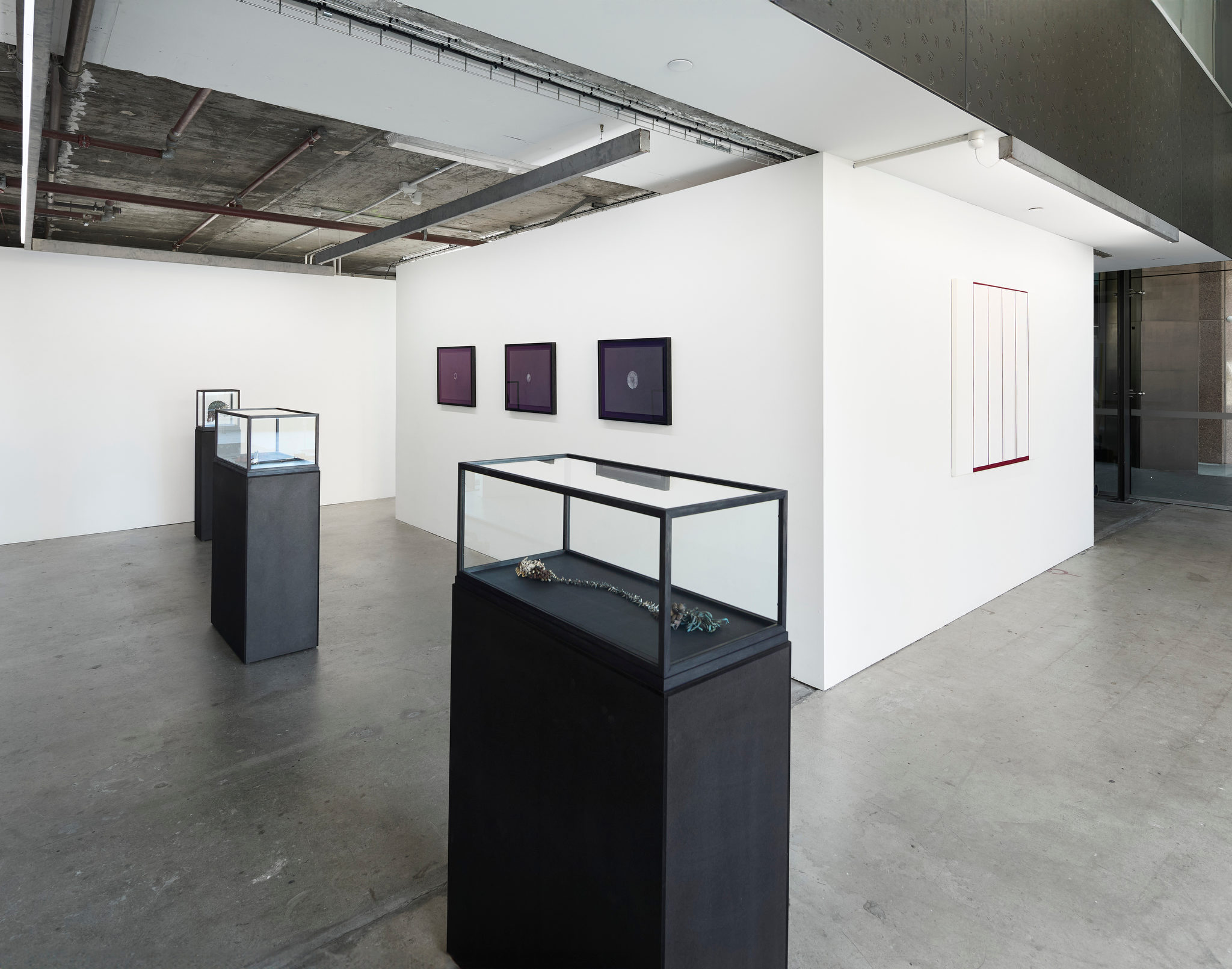 Trevor Vickers, Sarah Elson, Ric Spencer 2024. Acorn Photo (1)