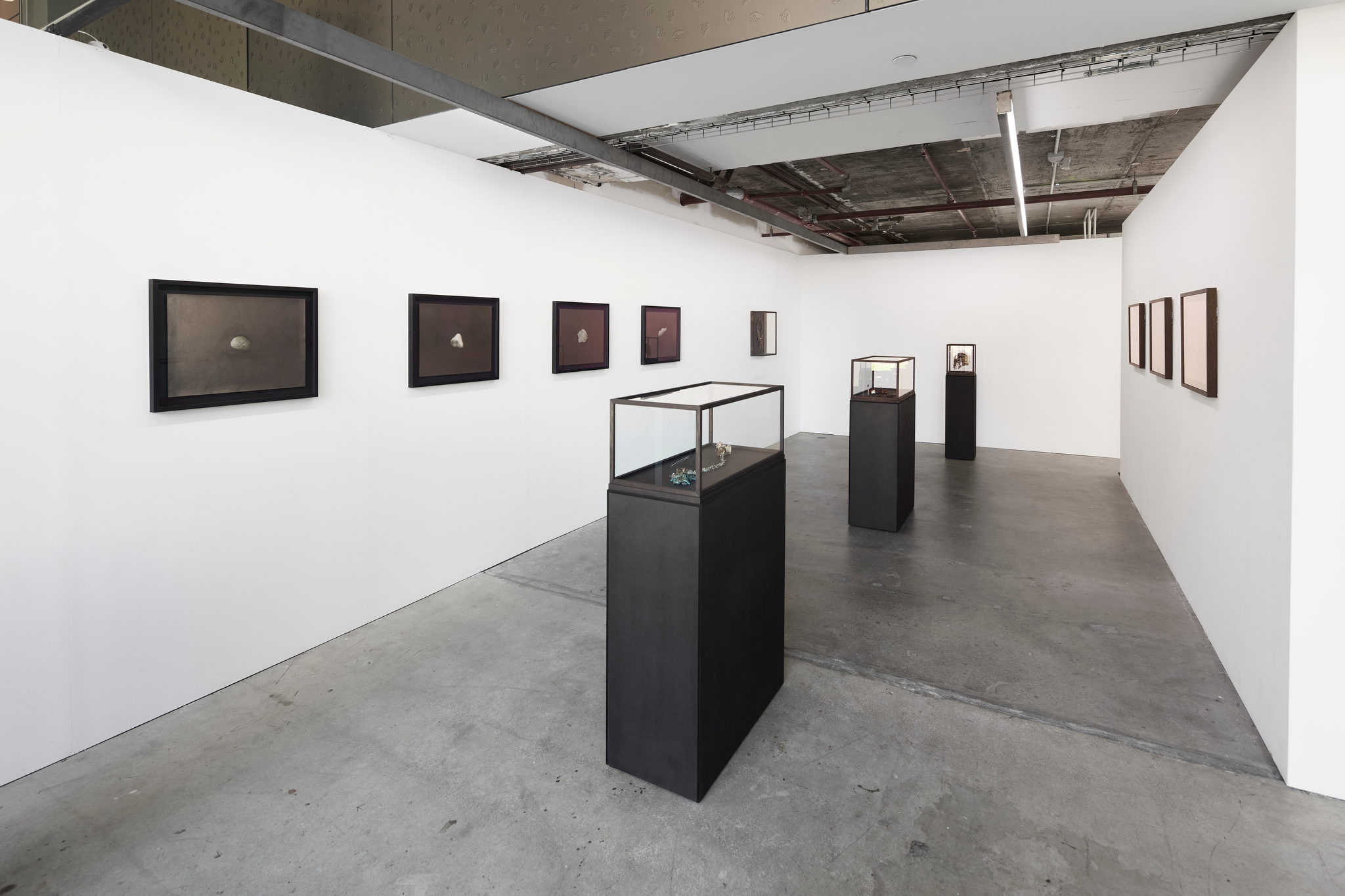 Sarah Elson and Ric Spencer, Pul the earth around me, 2024. Acorn Photo (1)