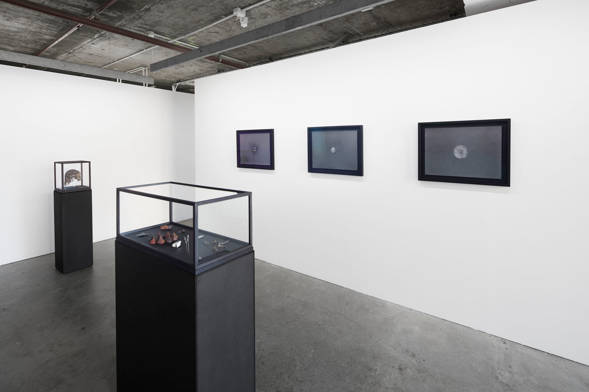 Sarah Elson and Ric Spencer, Pul the earth around me, 2024. Acorn Photo