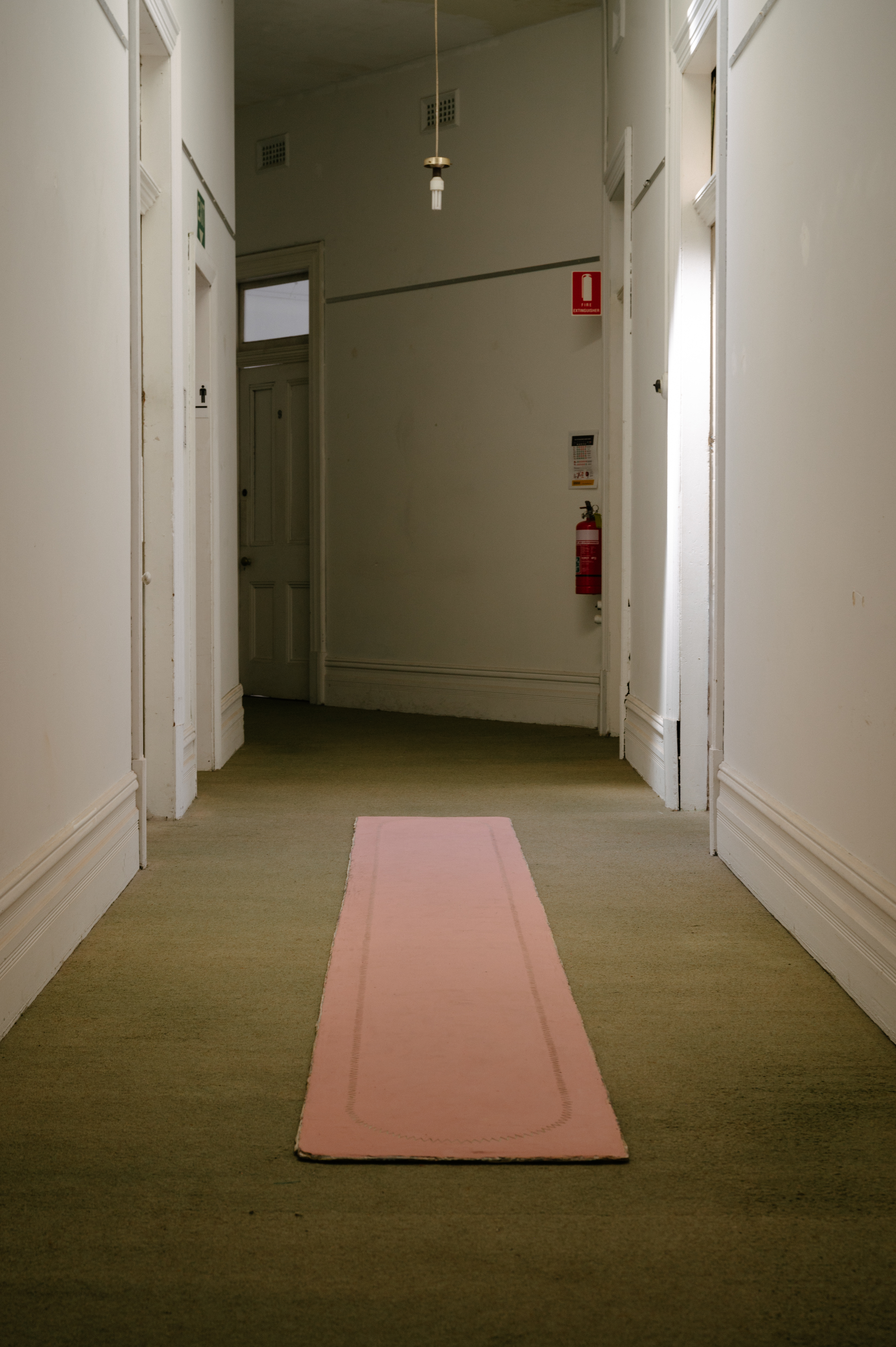 Andre Lipscombe, Hide painting (Autograft), 2017-2024, acrylic paint, 387 x 53 x 1cm