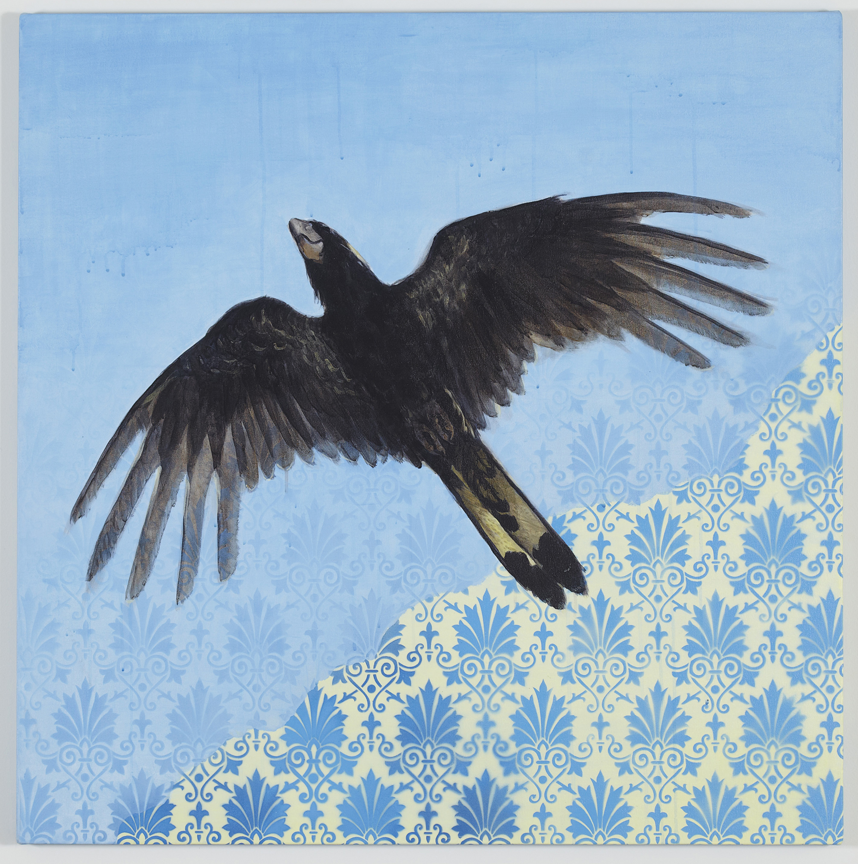 Clare McFarlane, Sky’s Chorus II, 2012, acrylic and aerosol on canvas, 100 x 100cm