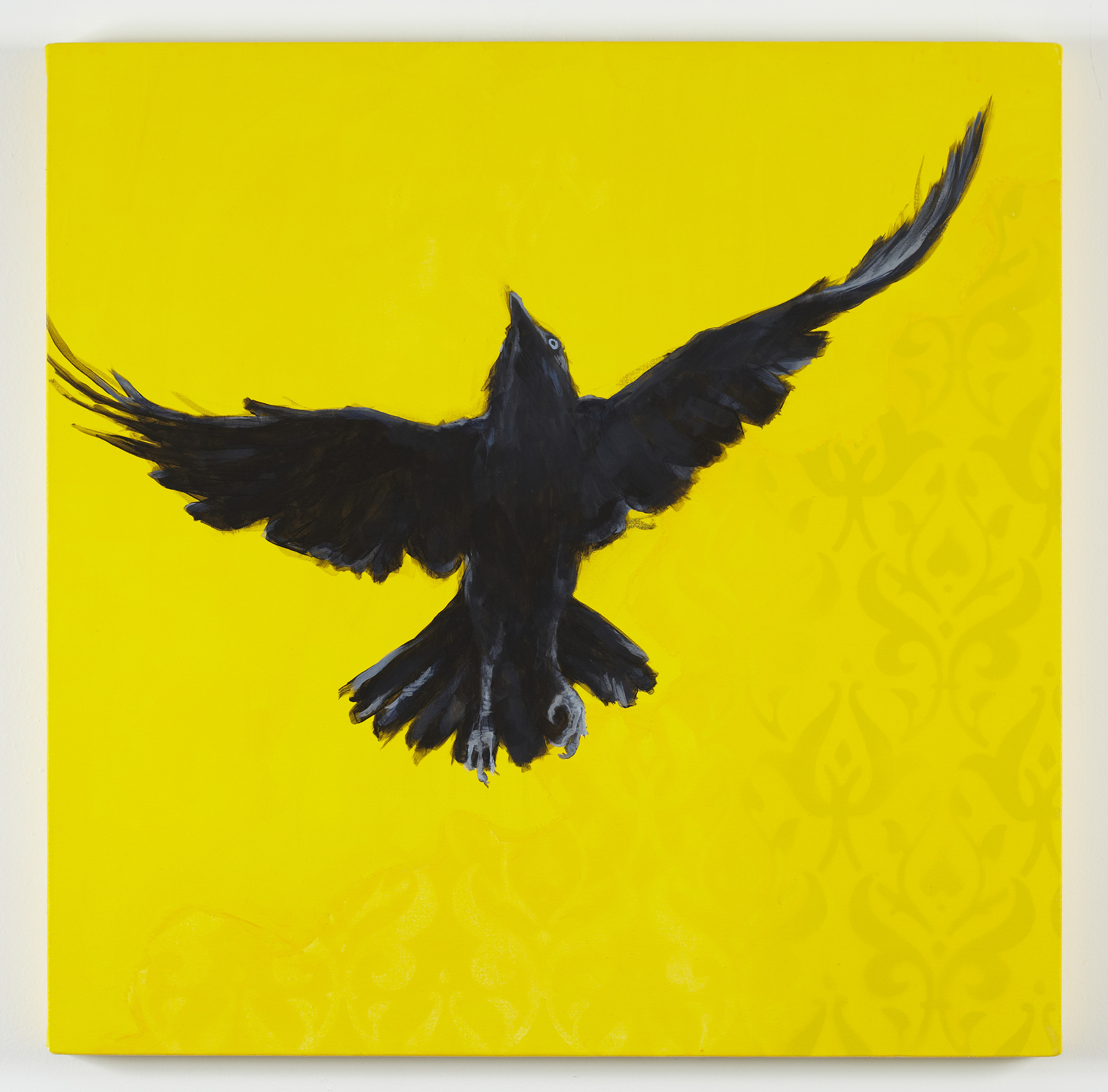 ClareMcFarlane, A Murders Verse VI, 2011, acrylic and aerosol on canvas, 70 x 70cm