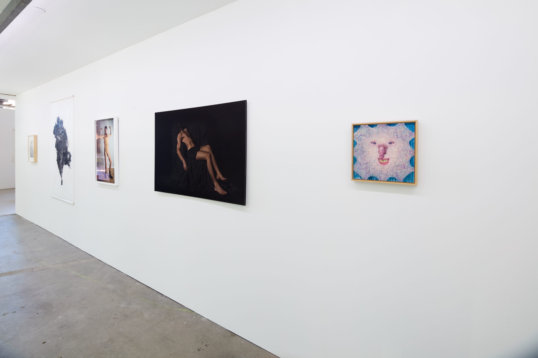 The Bachelor exhibition, 2025. Acorn Photo