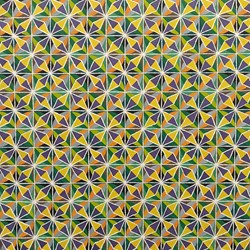 Cathy Blanchflower, Aster VI, 2004, oil on canvas, 81 x 81cm