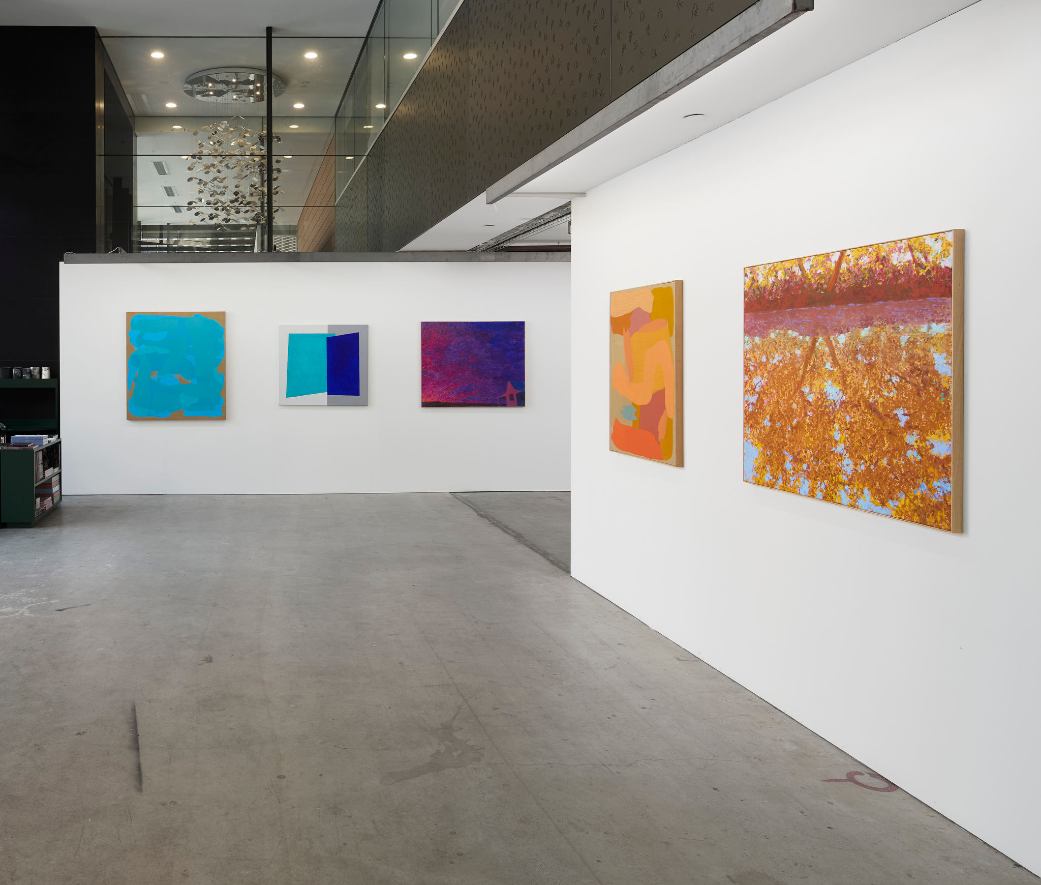 Chroma, 2025,  installation view. Acorn Photo (6)