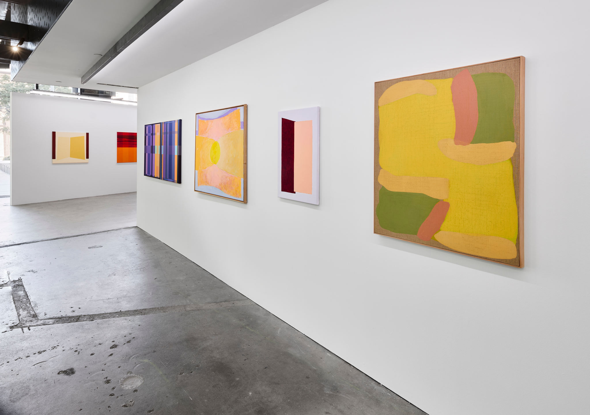 Chroma, 2025,  installation view. Acorn Photo (3)