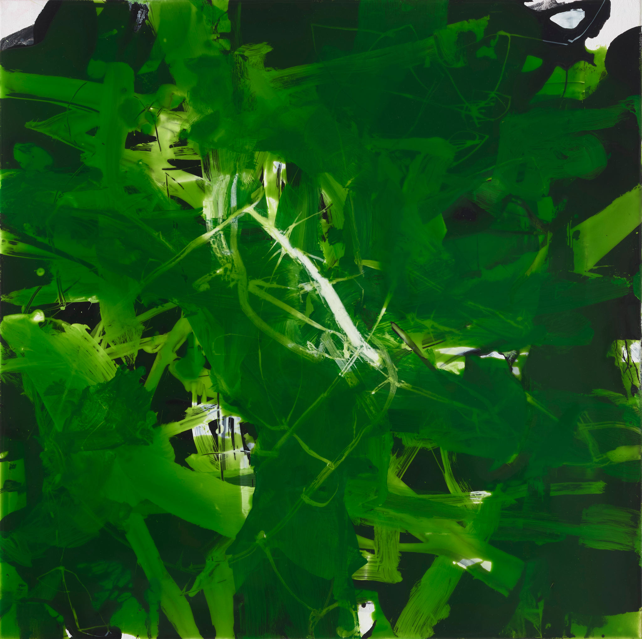 Chris Hopewell, Fish, 2024, acrylic and resin on canvas, 66 x 66cm