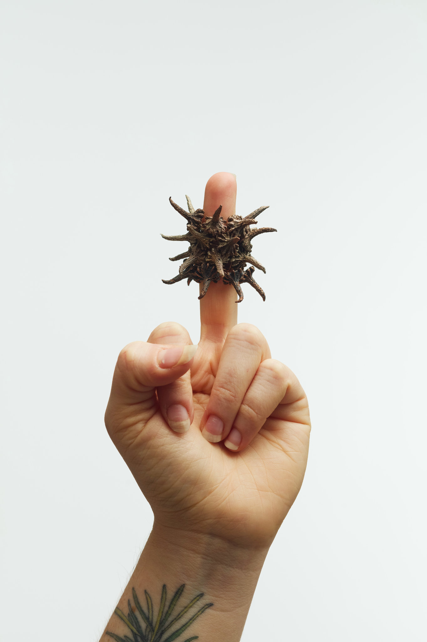 Sarah Elson, Untitled Ring