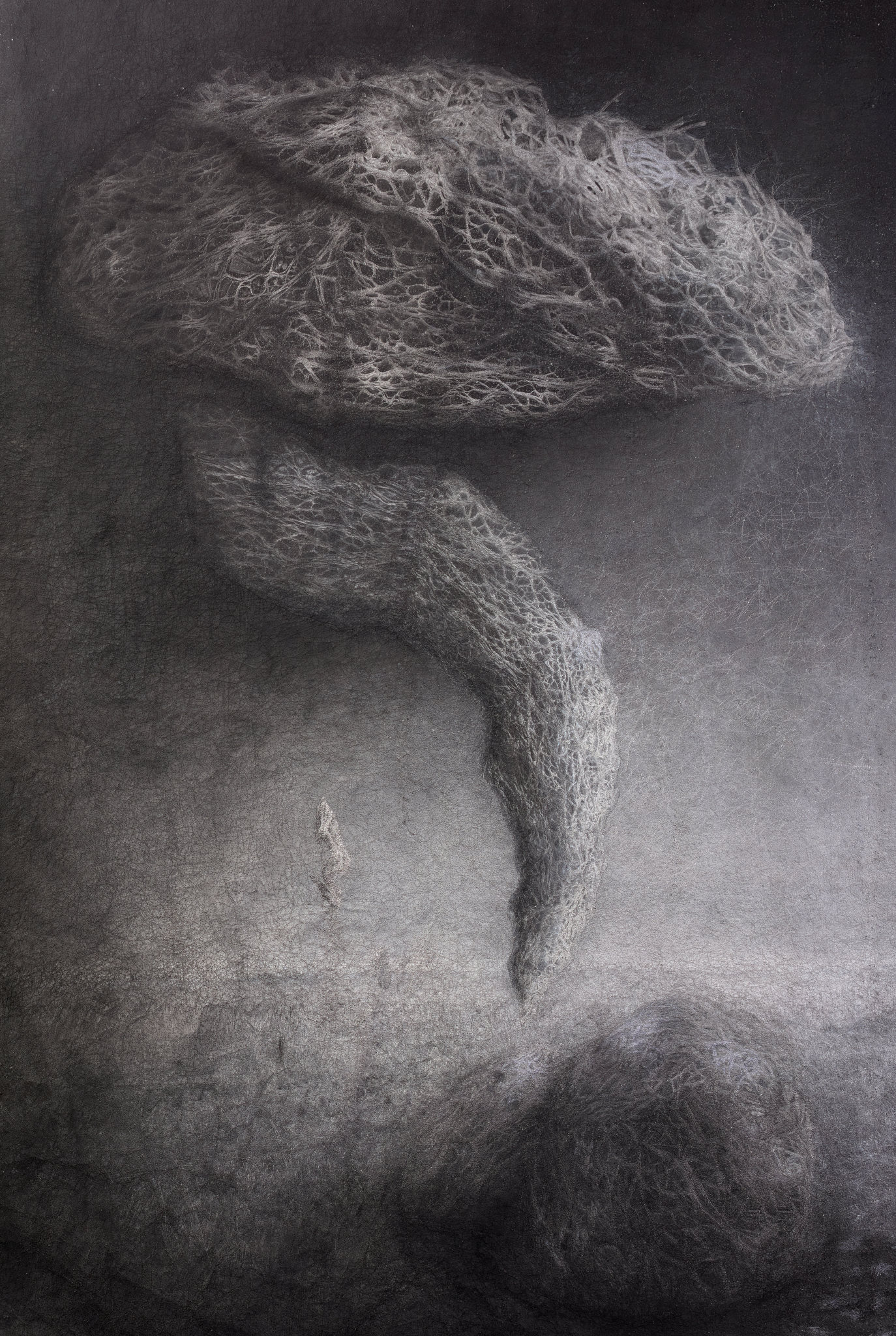 Susan Roux, Leaf Memory 1, 2025, Canson Photographique paper, thread and pigment, 224 x 150 x 10cm