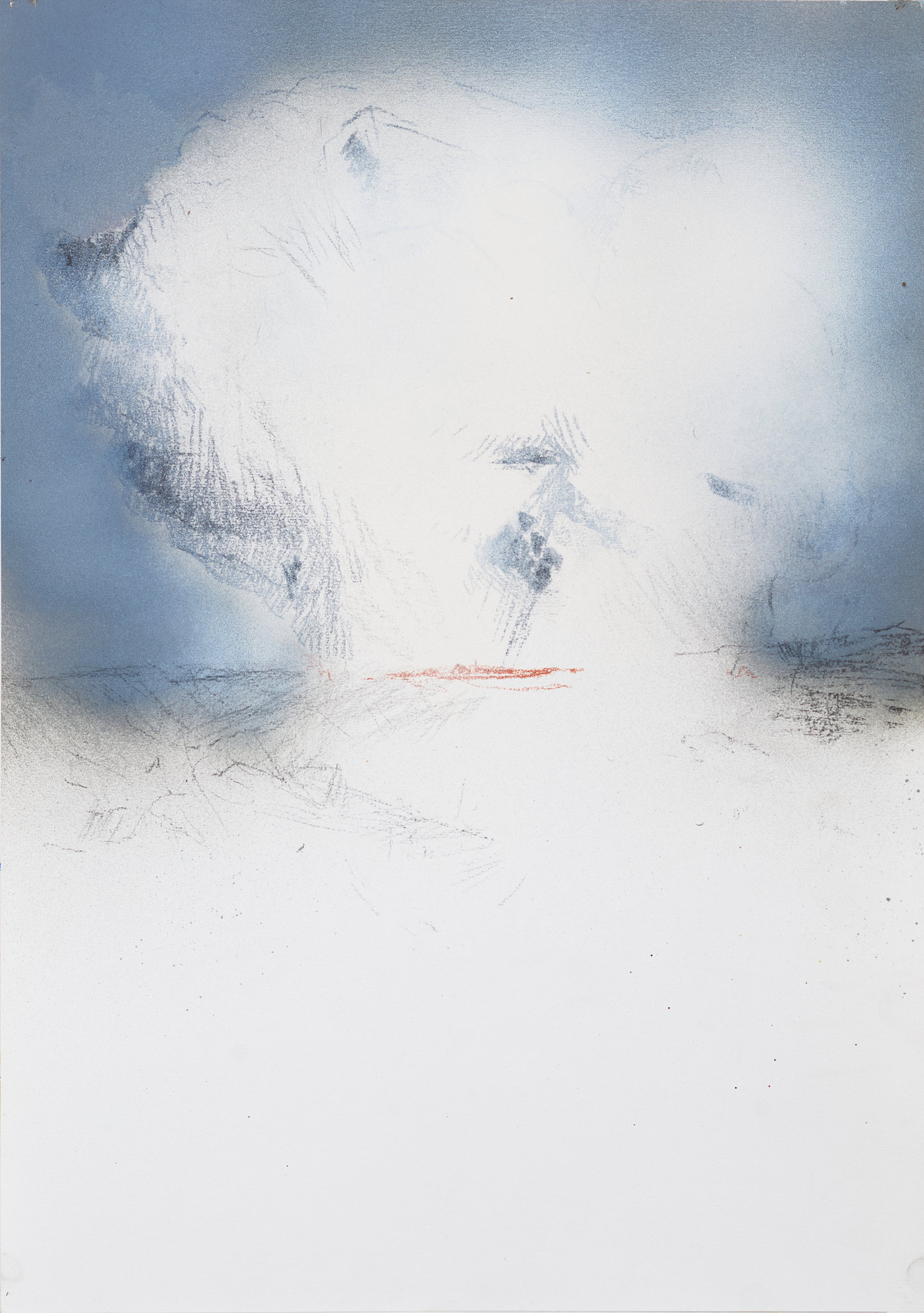 Merrick Belyea, Darlington Cloud 2, 2020, enamel and charcoal on paper, 59 x 42cm