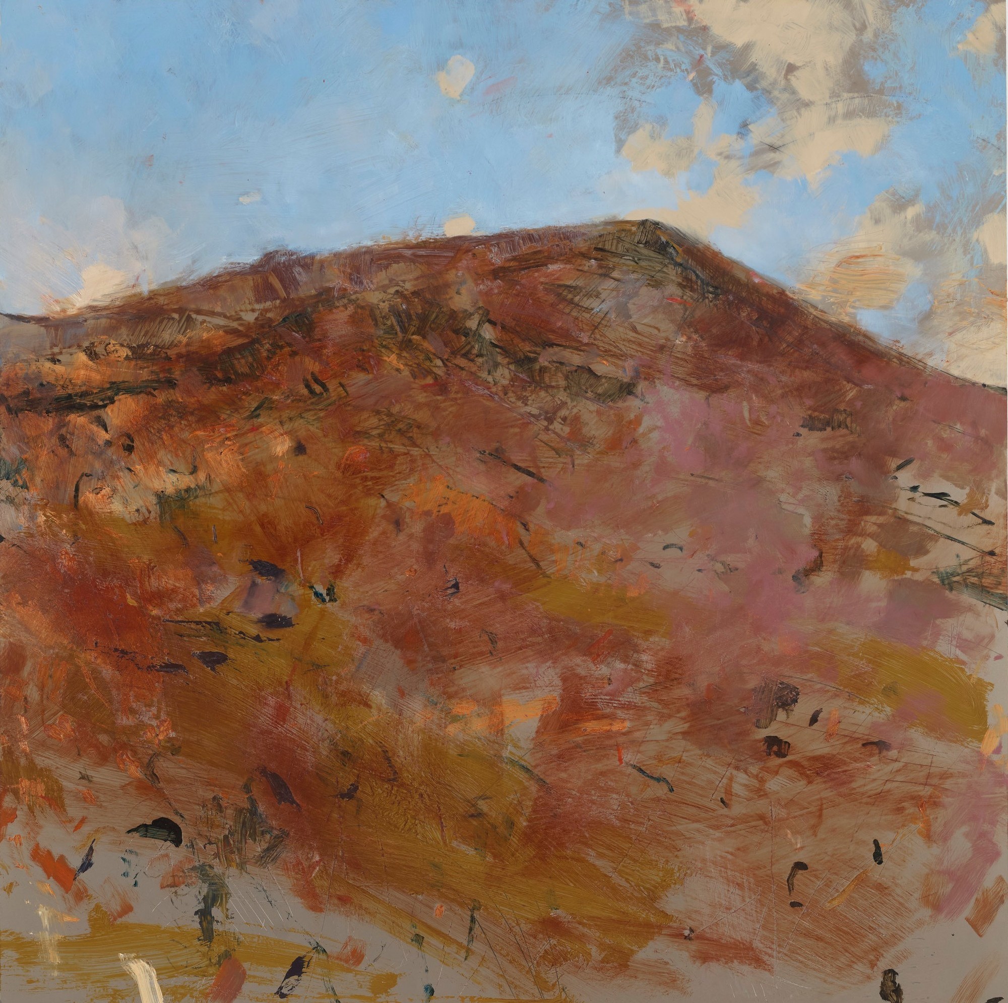 Merrick Belyea, Mount Nameless View, South West, 2025, oil on aluminium, 100 x 100cm