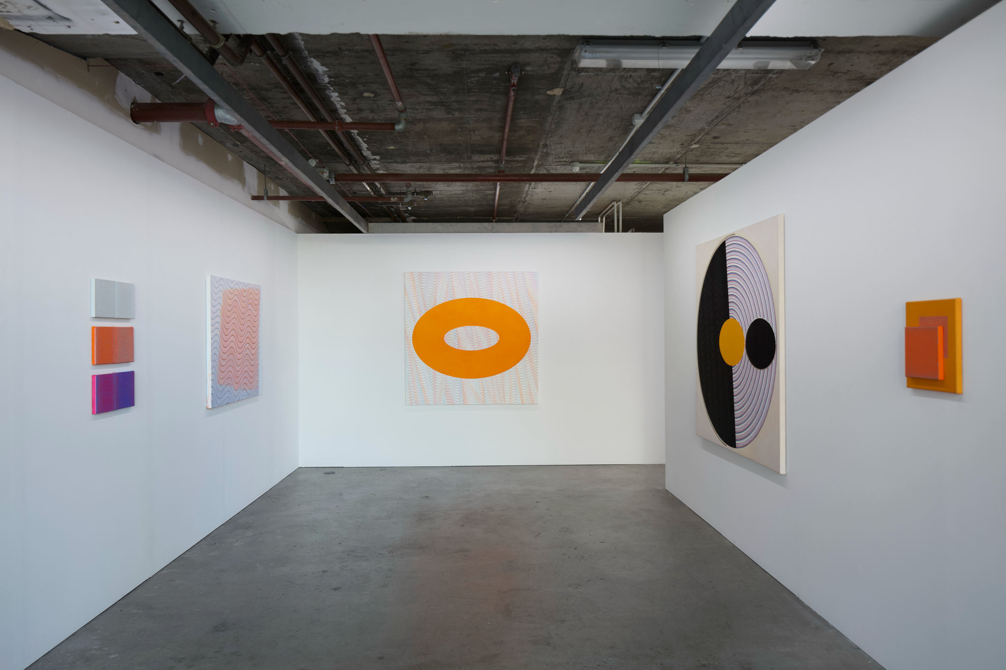 Helen Smith, Arc Drawings, February 2026, Acorn Photo (1)