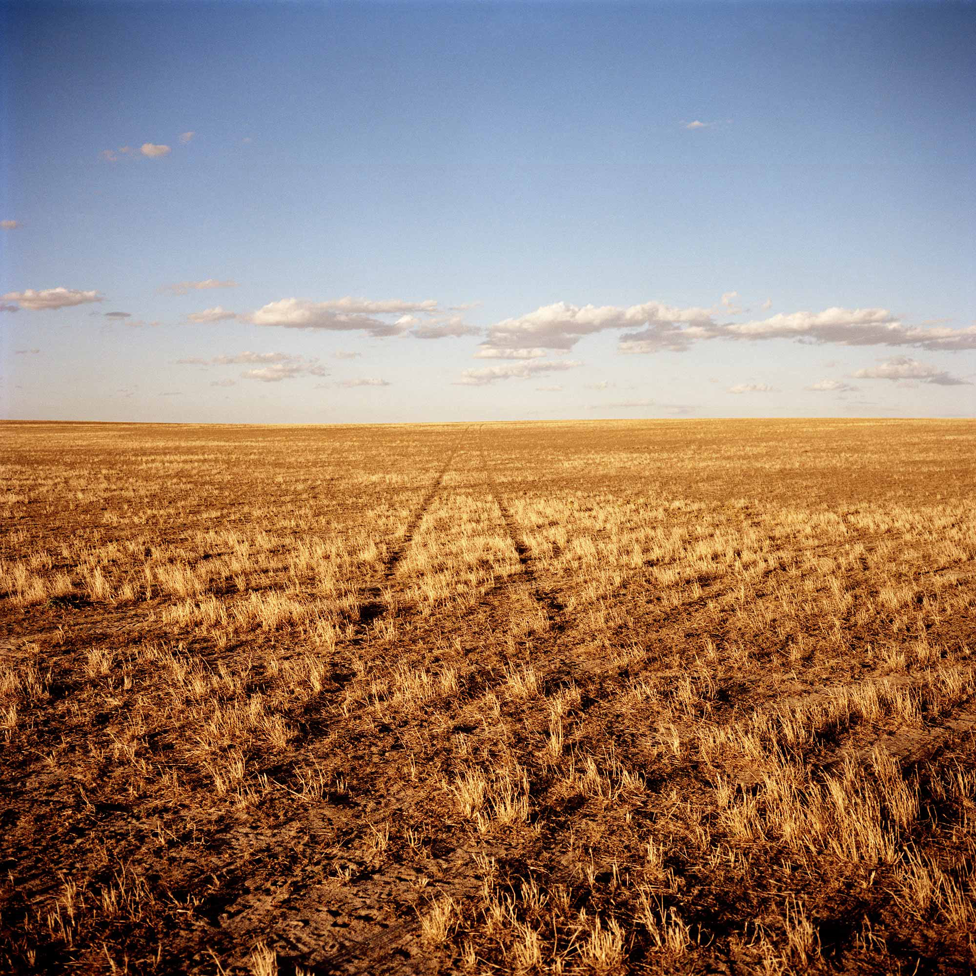 Brad Rimmer, Wyalkatchem, Summer, 2008-09, archival pigment print, 75 x 75cm