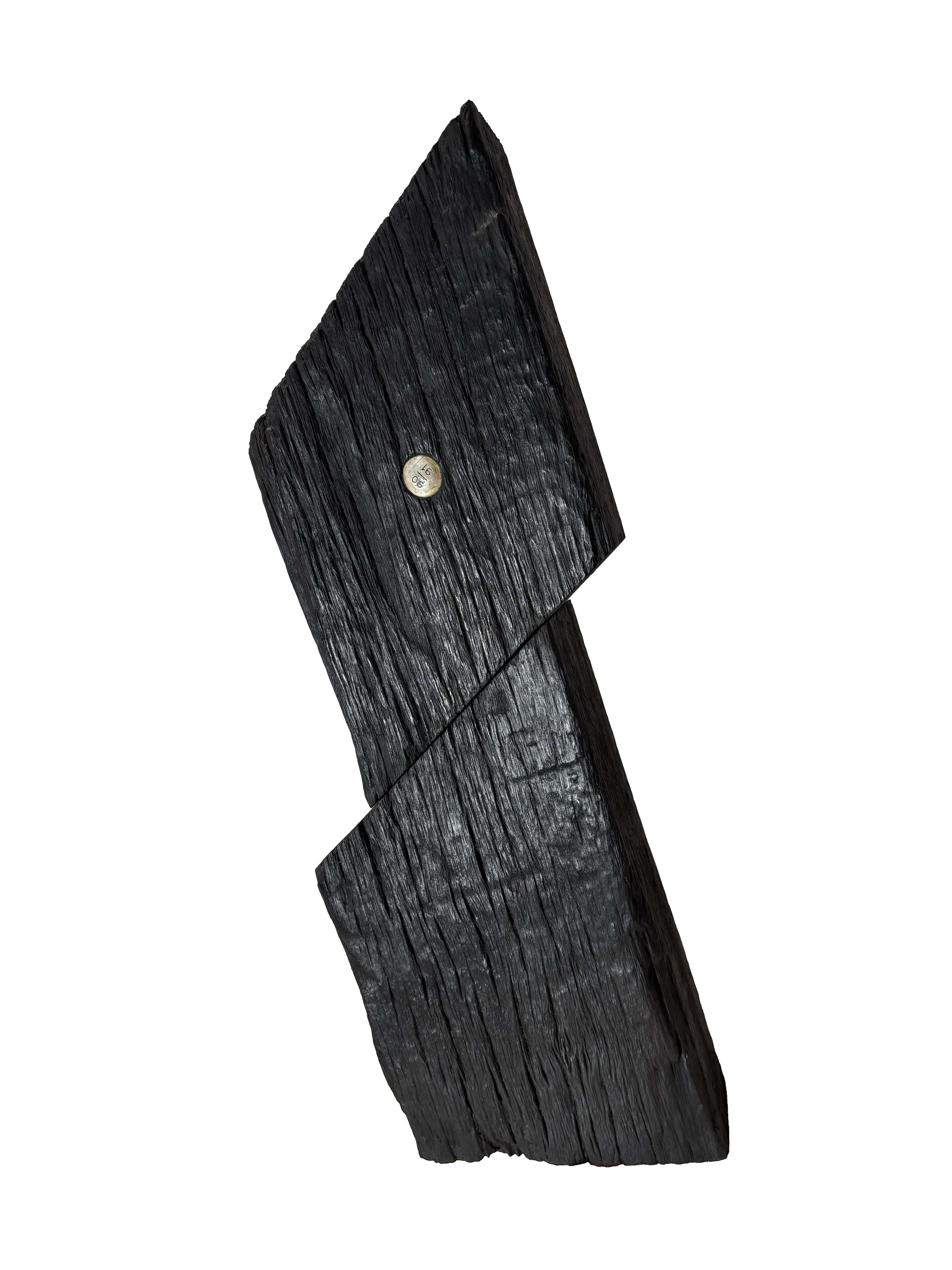 Jennifer Cochrane, Sleeper Self-portrait #23, 2026, wood, 55 x 23 x 11cm