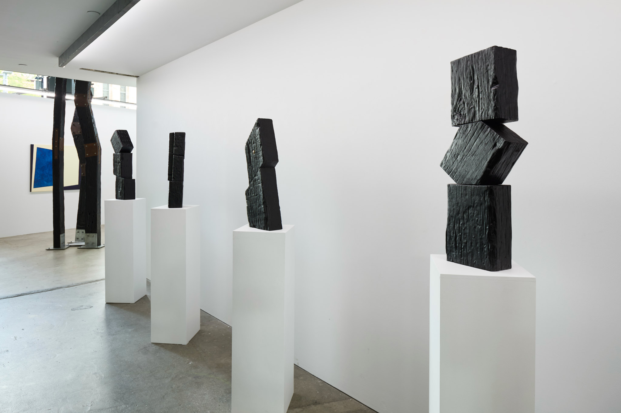 Jennifer Cochrane, Prospect, April 2026, Acorn Photo (3)