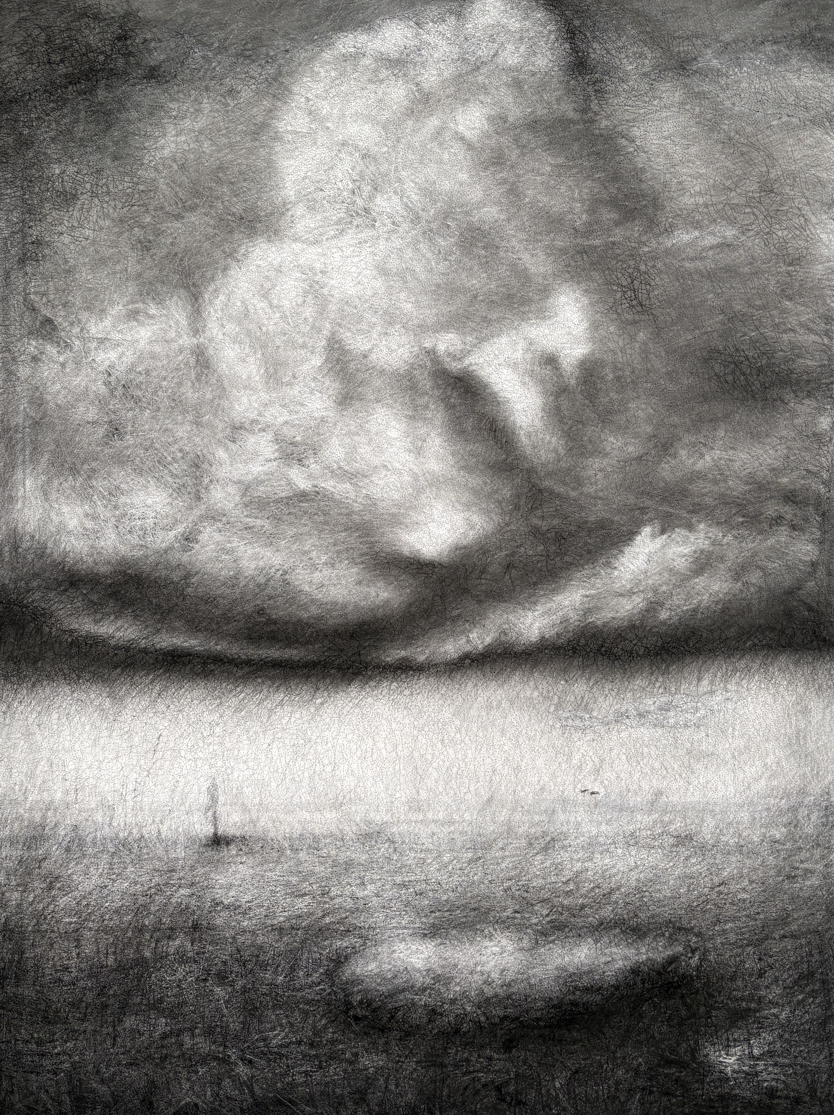 Susan Roux, Endless Reformation, 2026, photograph, thread and charcoal on paper, 150 x 113cm