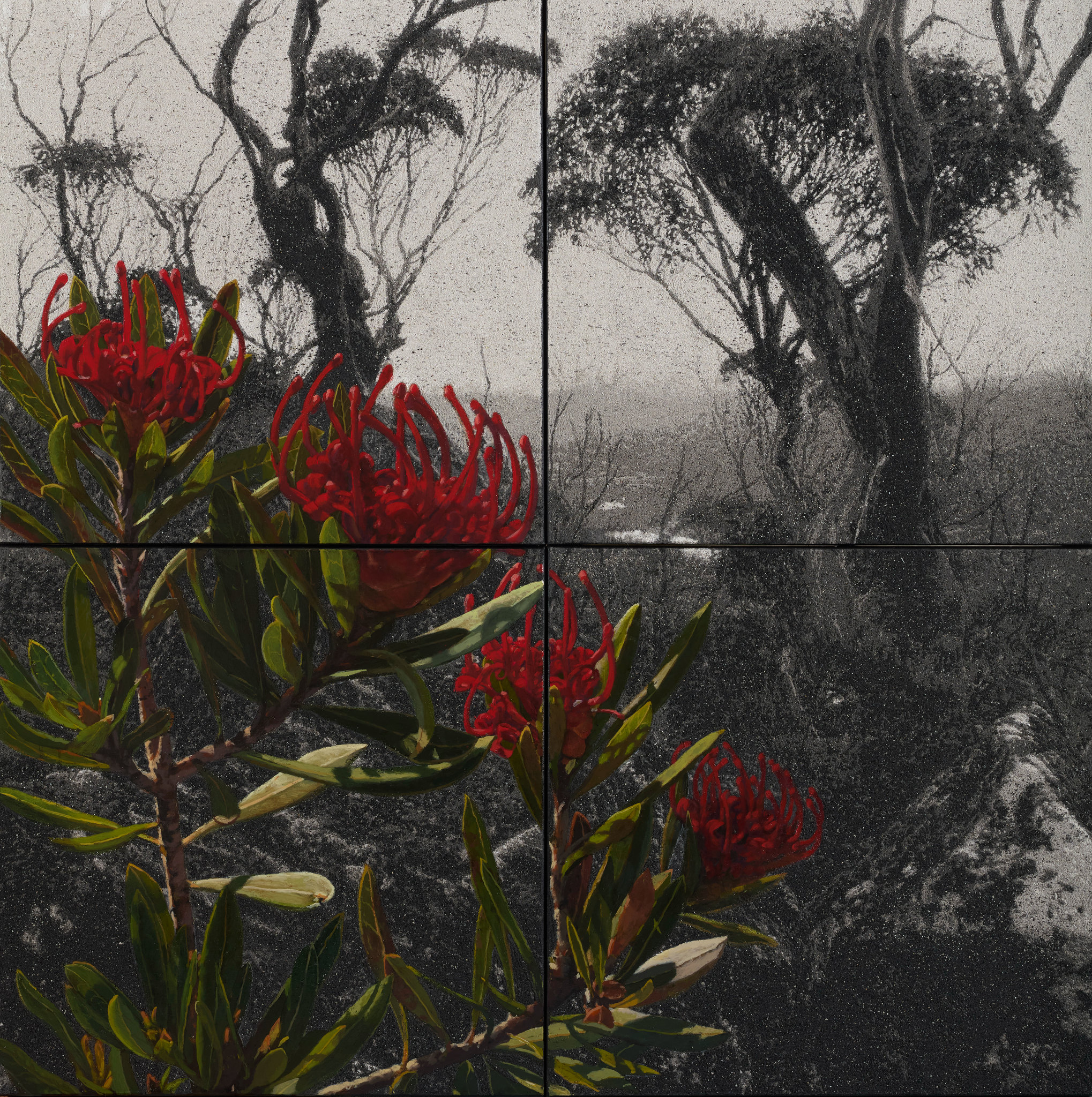 Nigel Hewitt, Fertile Ground II, 2026, oil and ash on canvas, 122 x 122cm (4 panels)