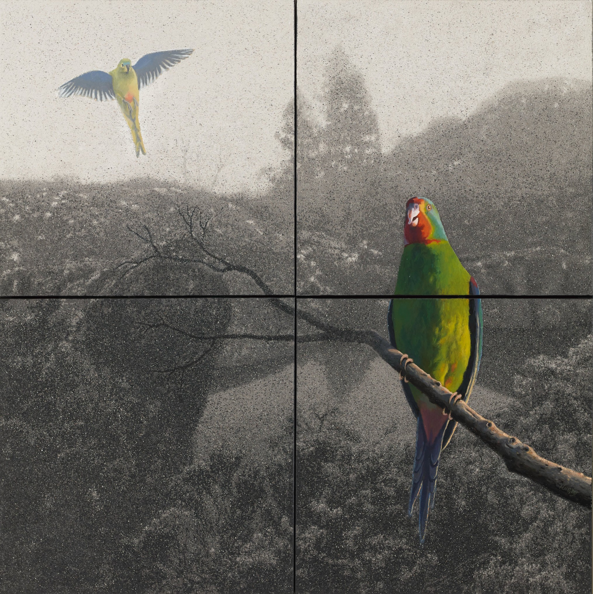 Nigel Hewitt, Fertile Ground V, 2026, oil and ash on canvas, 122 x 122cm (4 panels)