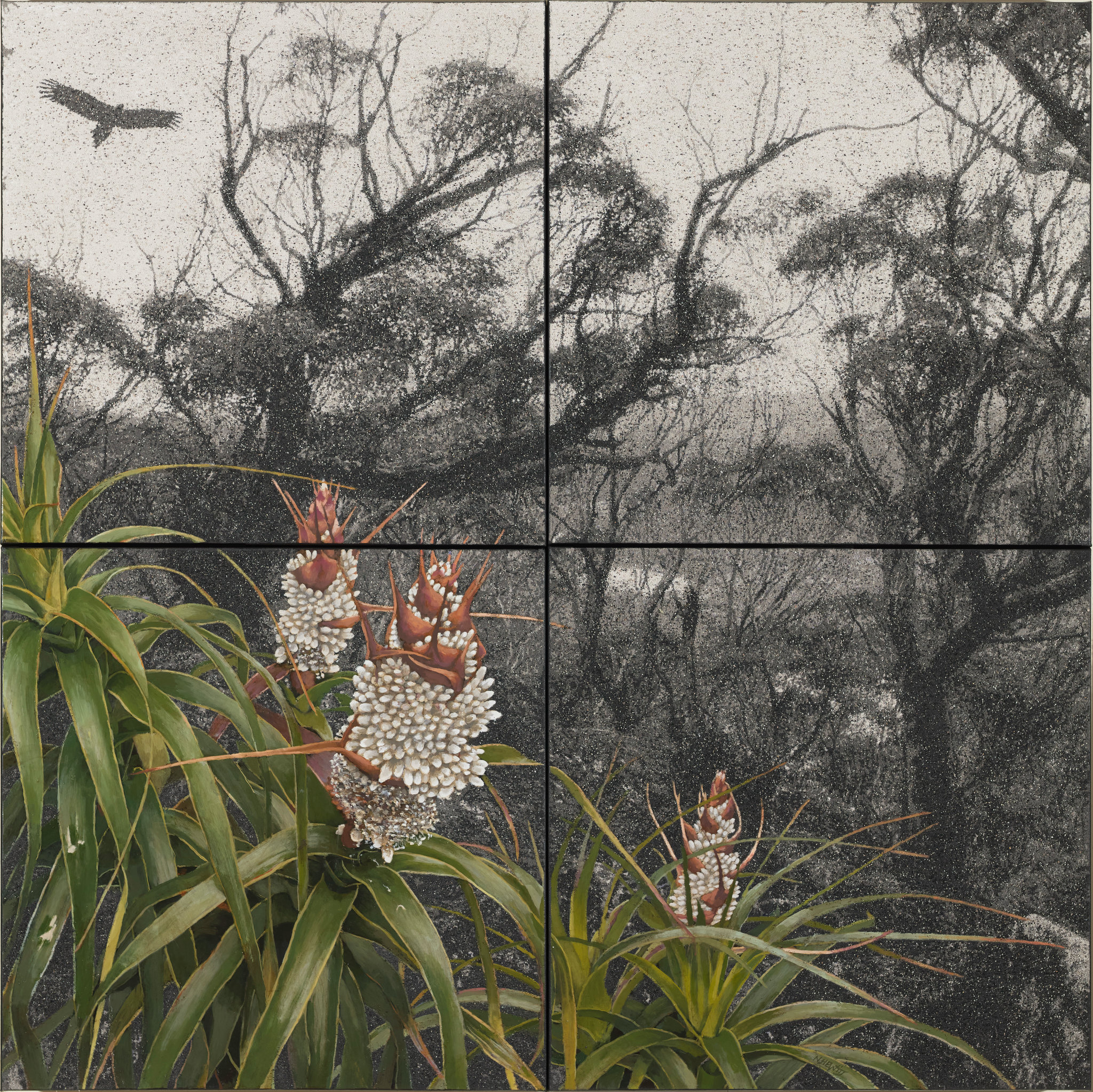 Nigel Hewitt, Fertile Ground III, 2026, oil and ash on canvas, 122 x 122cm (4 panels)