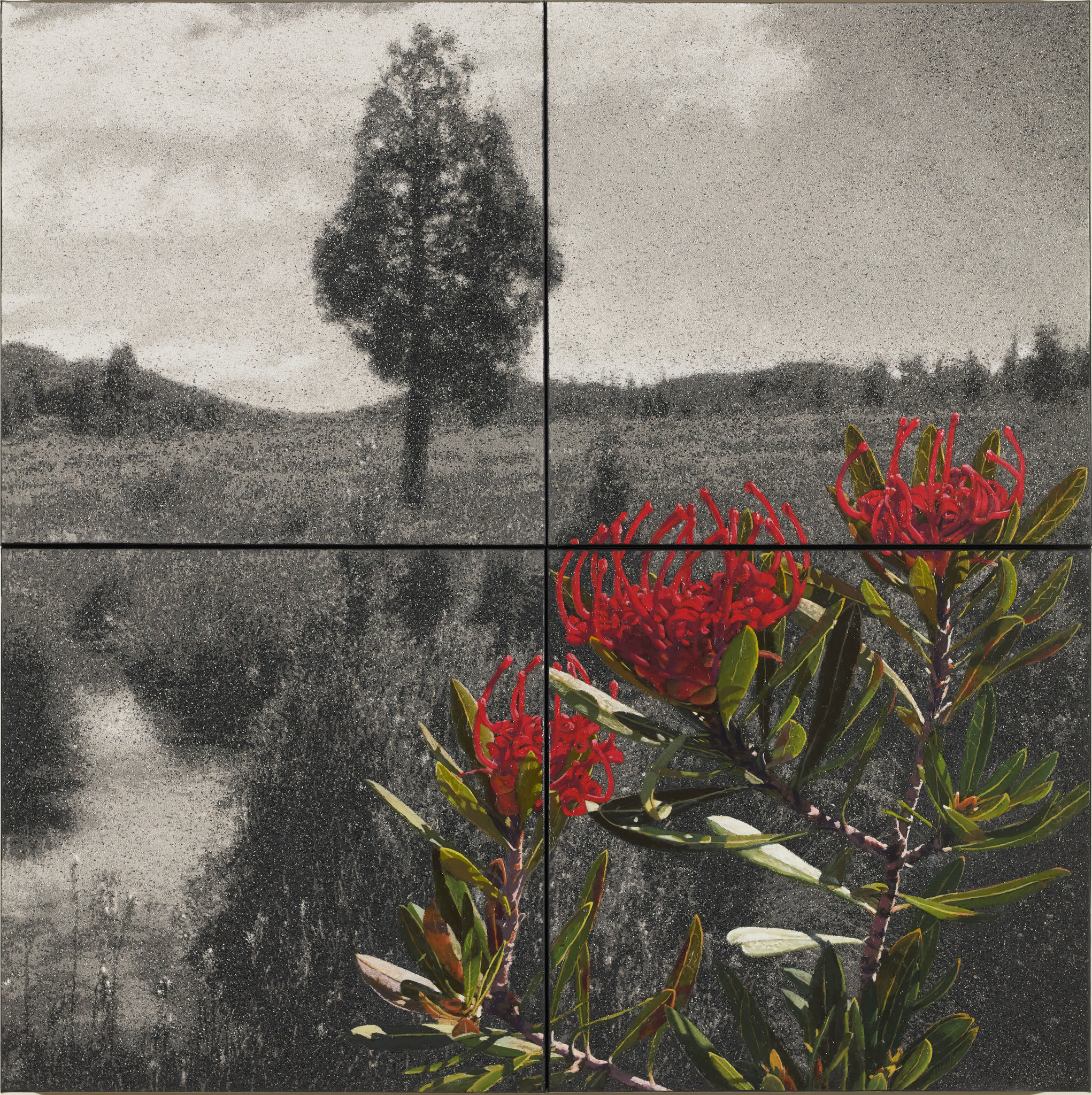 Nigel Hewitt, Fertile Ground IV, 2026, oil and ash on canvas, 122 x 122cm (4 panels)