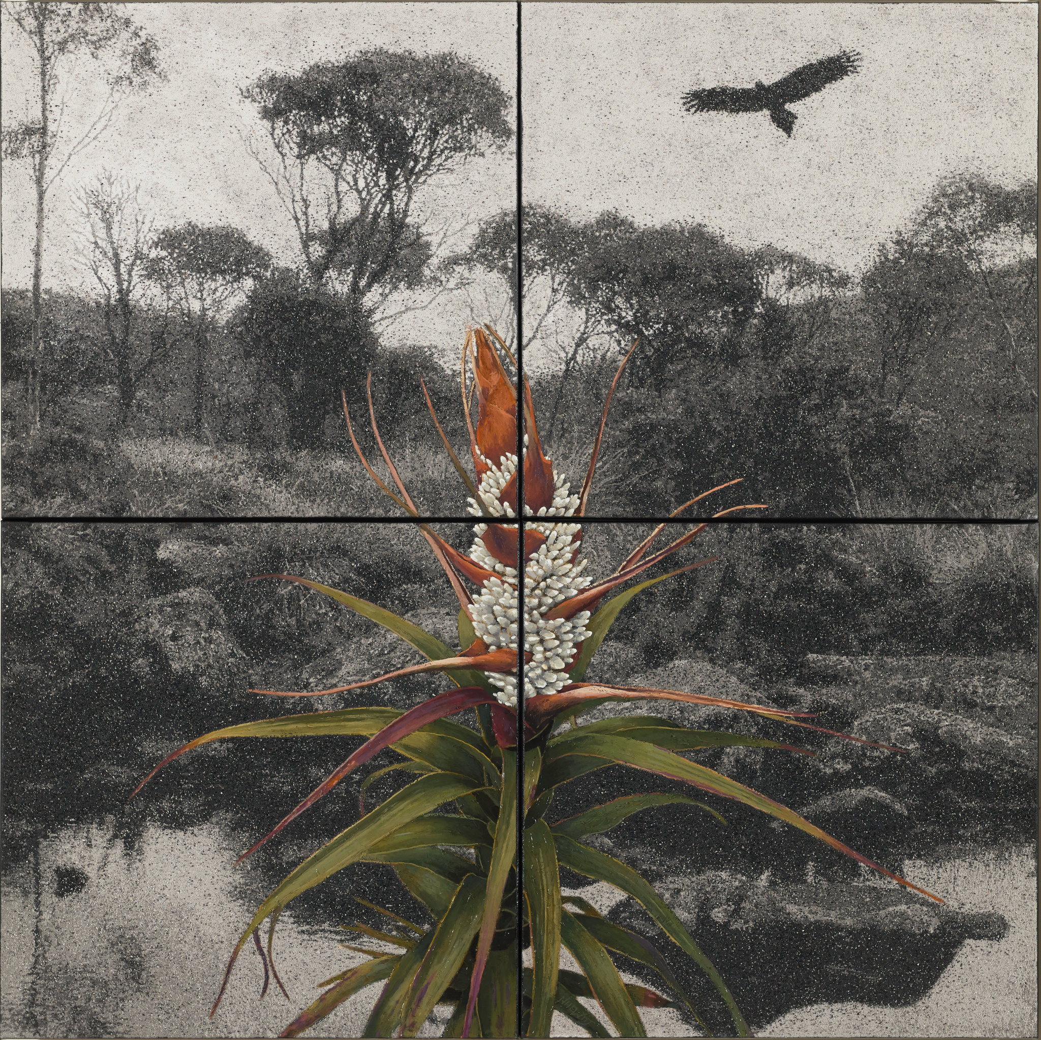 Nigel Hewitt, Fertile Ground VI, 2026, oil and ash on canvas, 122 x 122cm (4 panels)