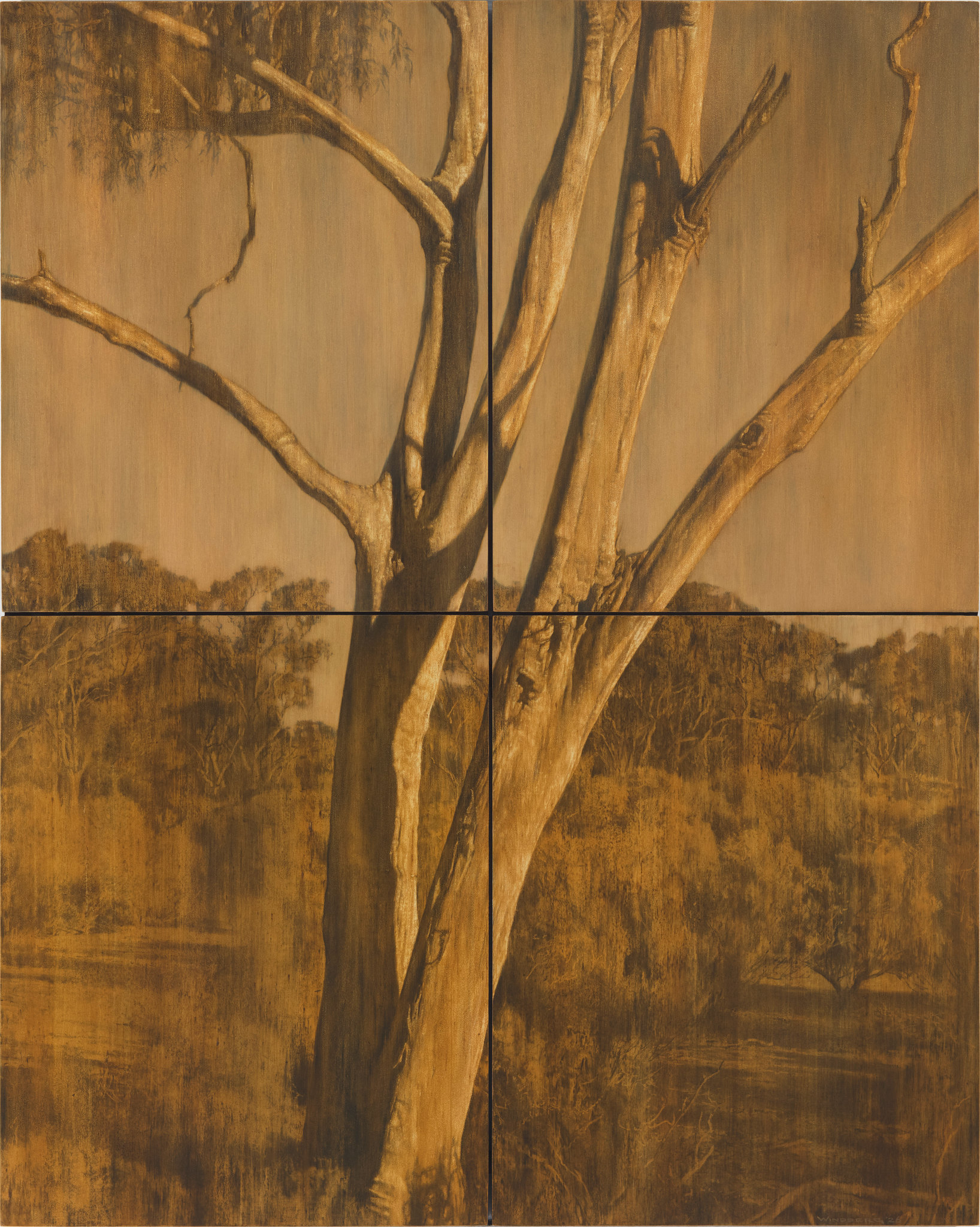Tony Windberg, Wood Land - Gold, 2026, earth pigments, pencil, acrylic and oil on board, 102 x 82cm (4 panels)