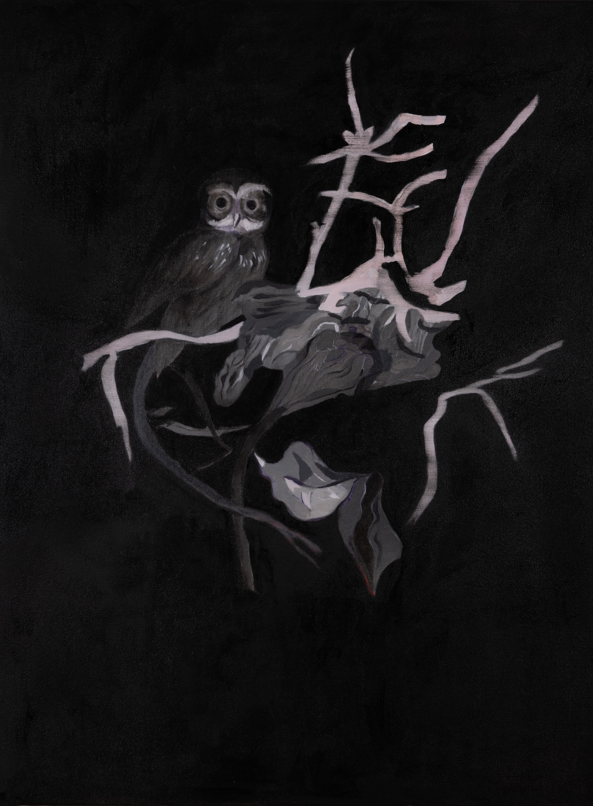 Paul Uhlmann, Night (Boobook Owl), 2026, oil on linen, 122 x 91cm