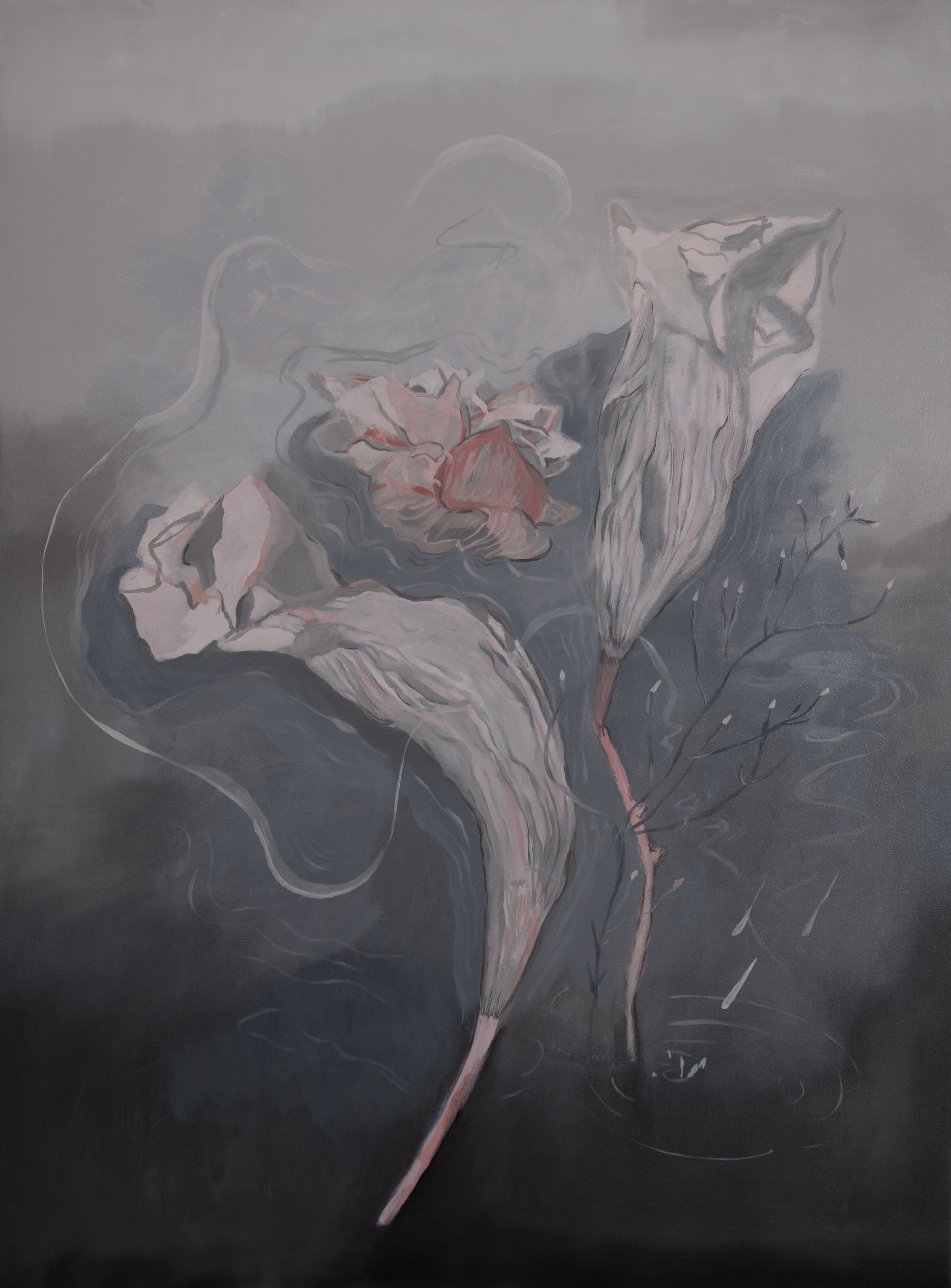Paul Uhlmann, Swampland, 2026, oil on linen, 122 x 91cm
