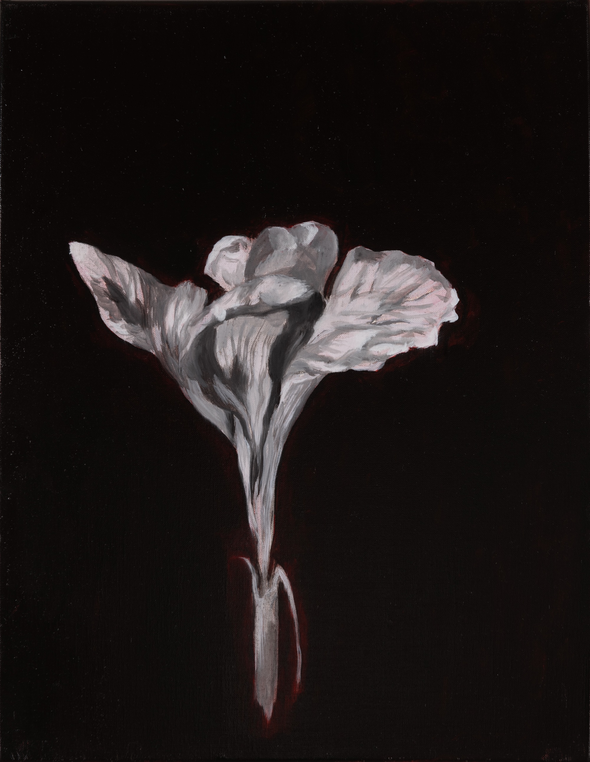 Paul Uhlmann, Tenderness and Eternity IV, 2026, oil on linen, 46 x 36cm