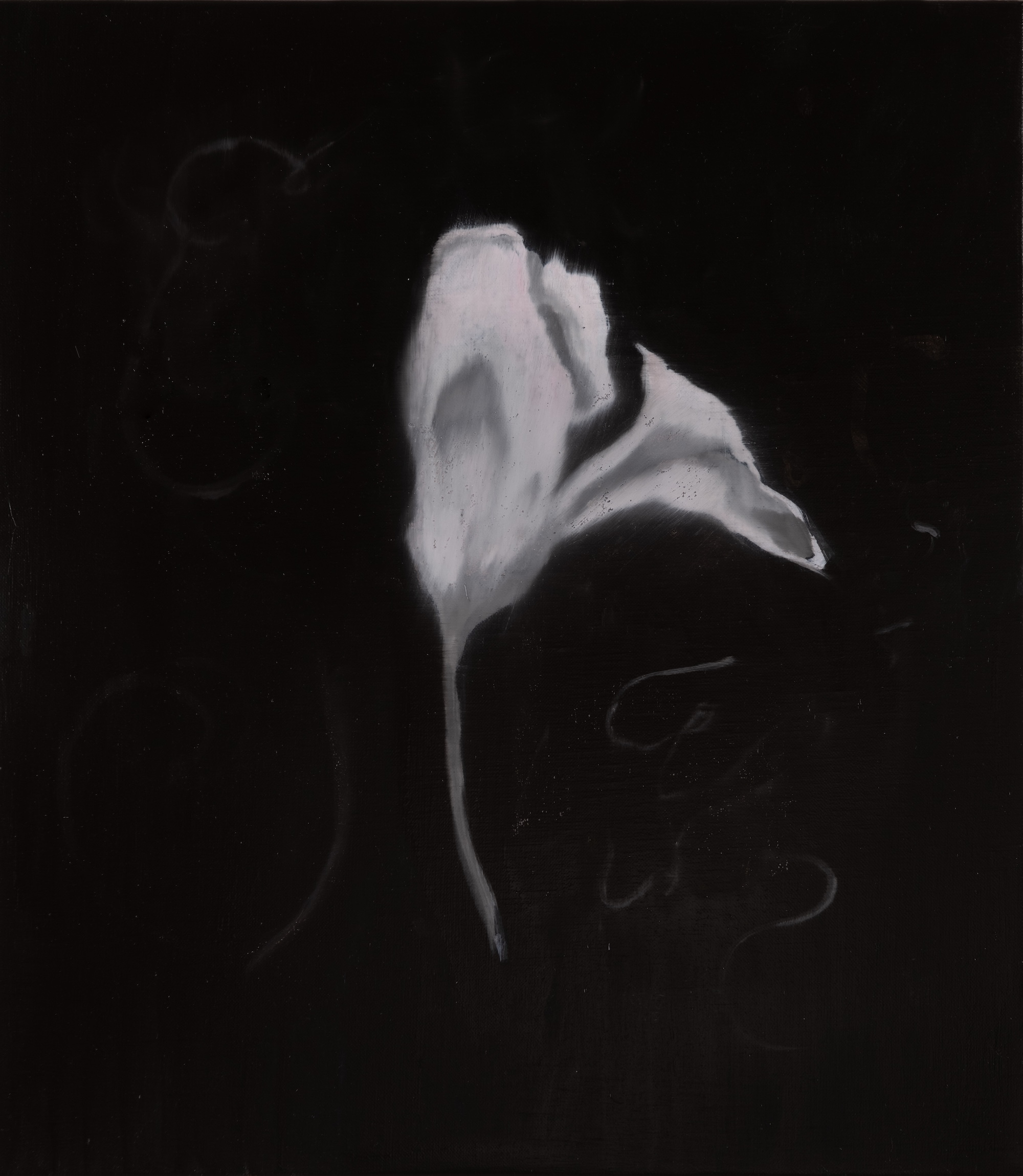 Paul Uhlmann, Tenderness and Eternity VI, 2026, oil on linen, 41 x 36cm