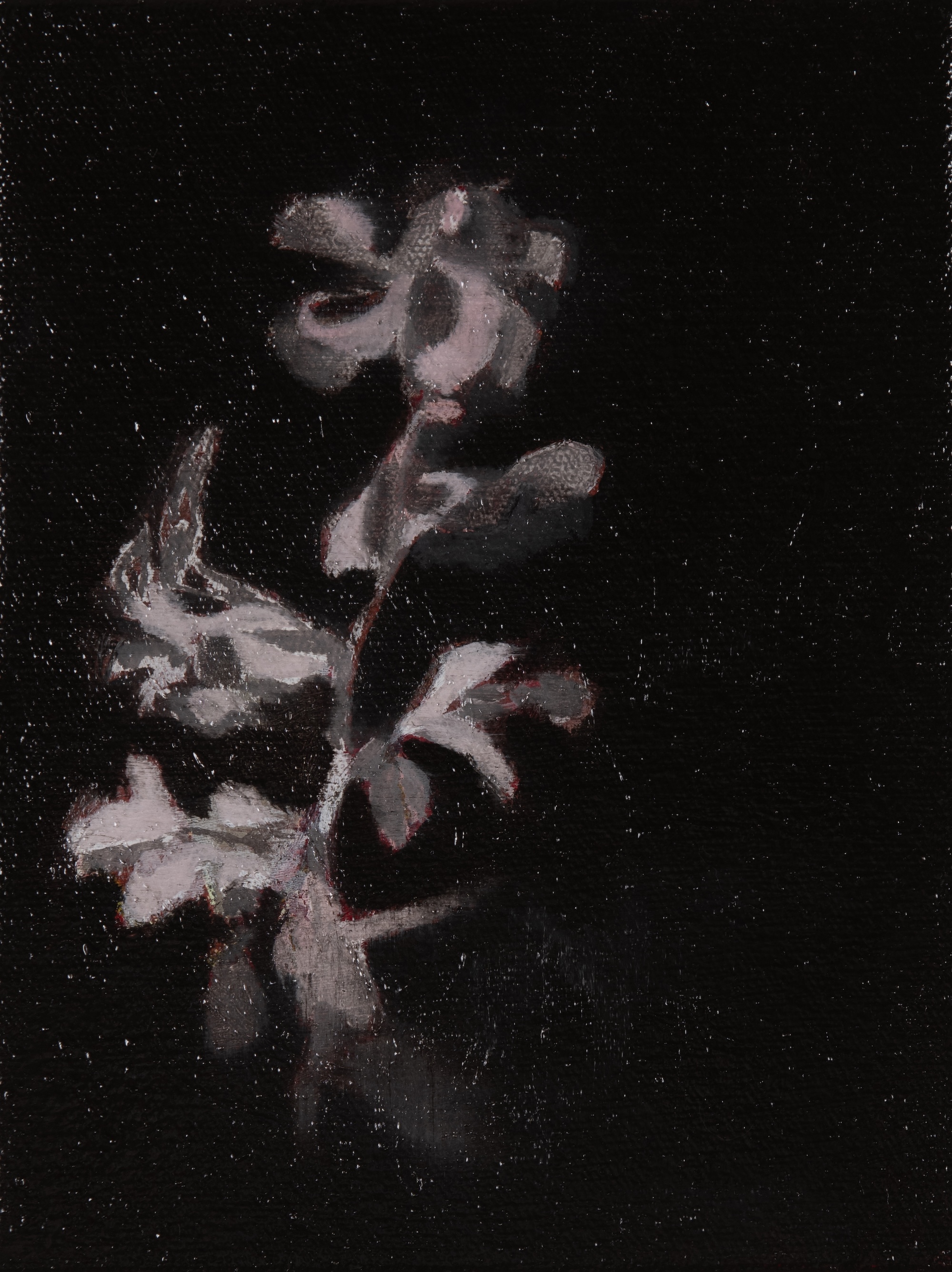 Paul Uhlmann, Tenderness and Eternity IX, 2026, oil on linen, 21 x 15cm