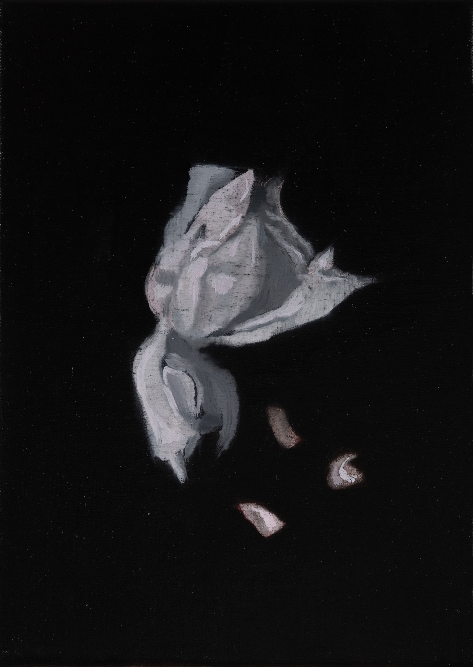 Paul Uhlmann, Tenderness and Eternity VIII, 2026, oil on linen, 36 x 25.5cm